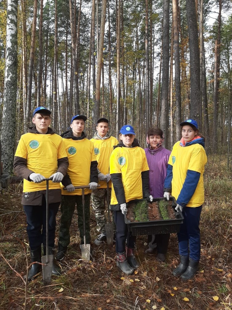 Посадки 2023